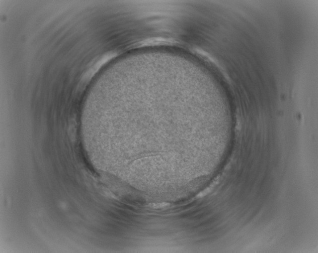 X0000076351313200610272110