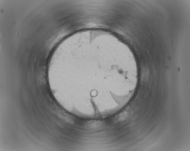 X0000076351314200610272110