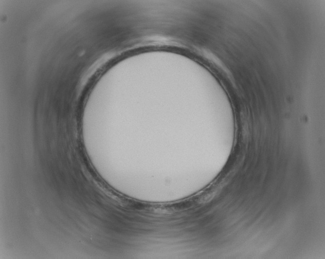 X0000076351318200610272110