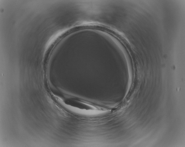 X0000076351319200610272110