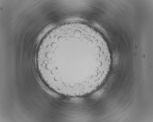 X0000076351322200610272110