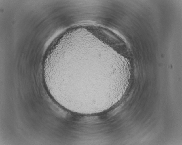 X0000076351325200610272110