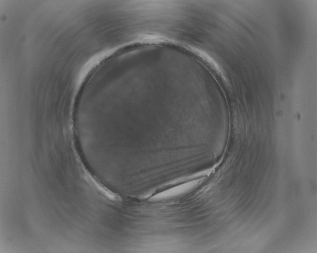 X0000076351327200610272110