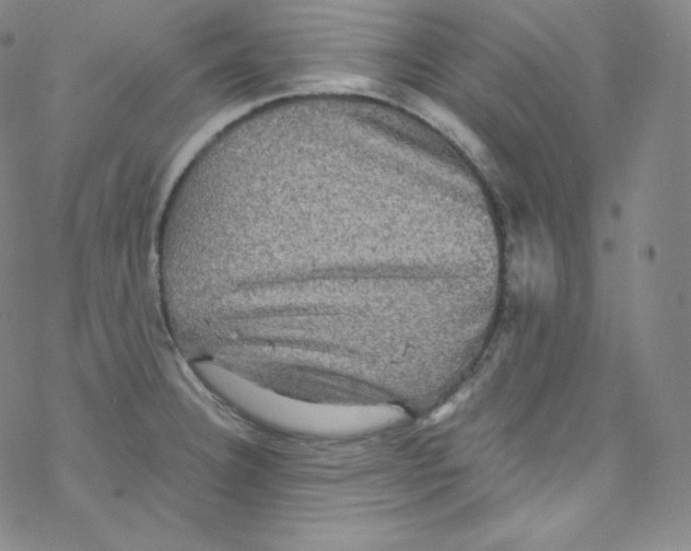 X0000076351332200610272110