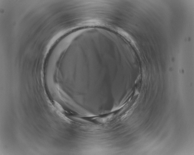 X0000076351334200610272110