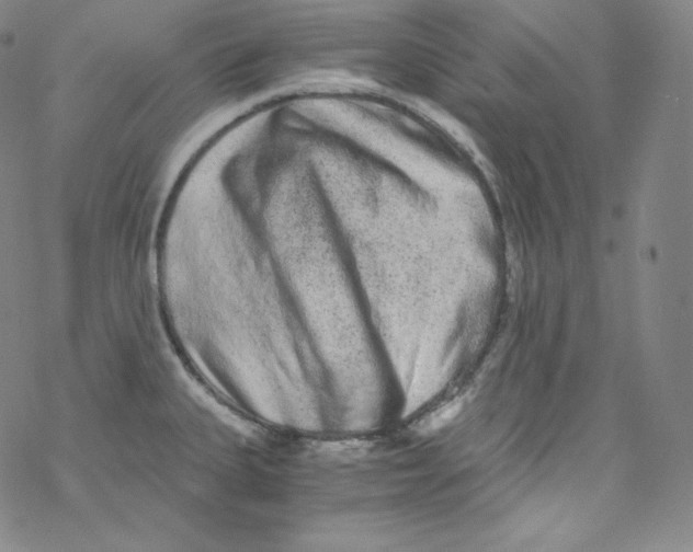 X0000076351335200610272110