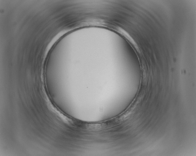 X0000076351339200610272110