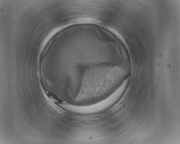 X0000076351342200610272110