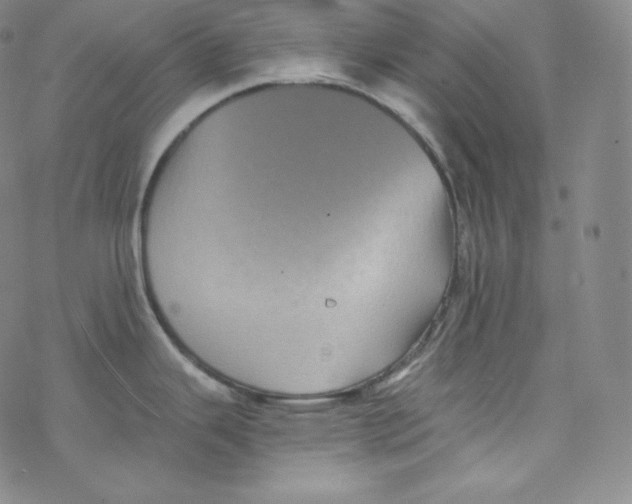 X0000076351343200610272110