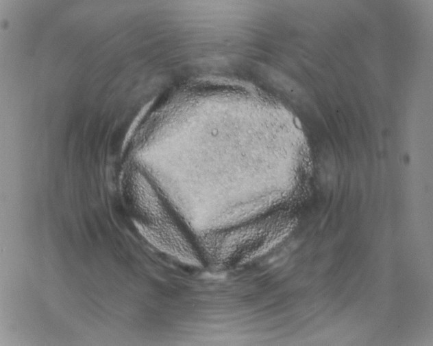 X0000076351346200610272110