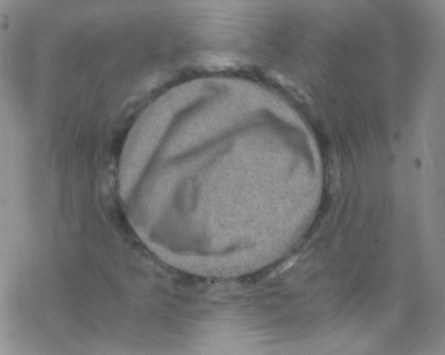 X0000076351349200610272110