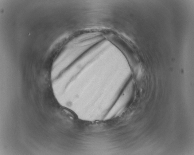 X0000076351351200610272109