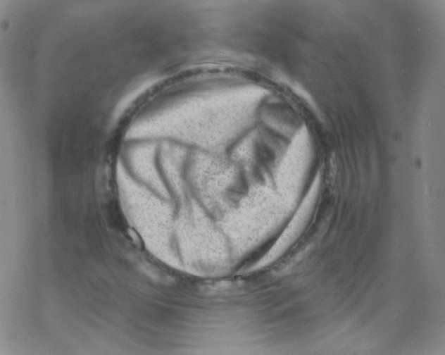 X0000076351352200610272109