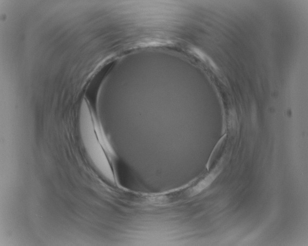 X0000076351353200610272109