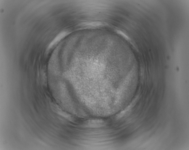 X0000076351354200610272109