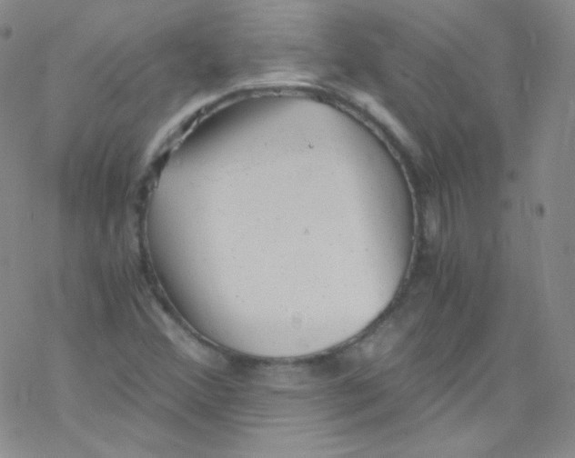 X0000076351356200610272109