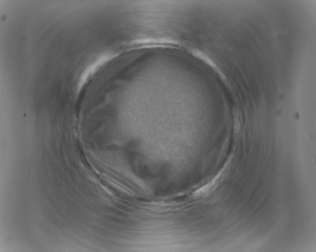 X0000076351357200610272109