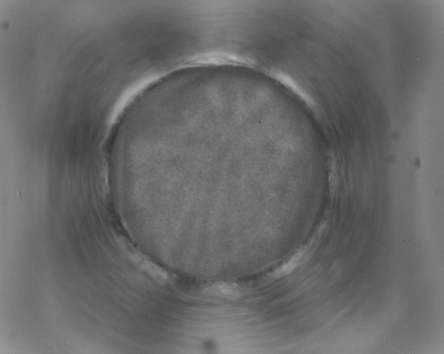 X0000076351358200610272109