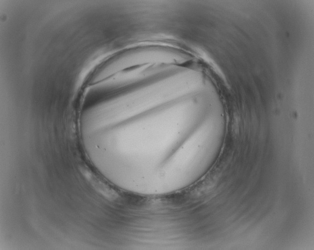 X0000076351360200610272109