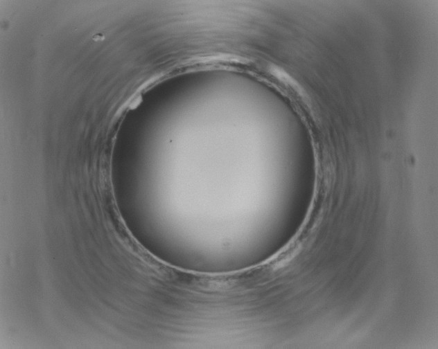 X0000076351361200610272109