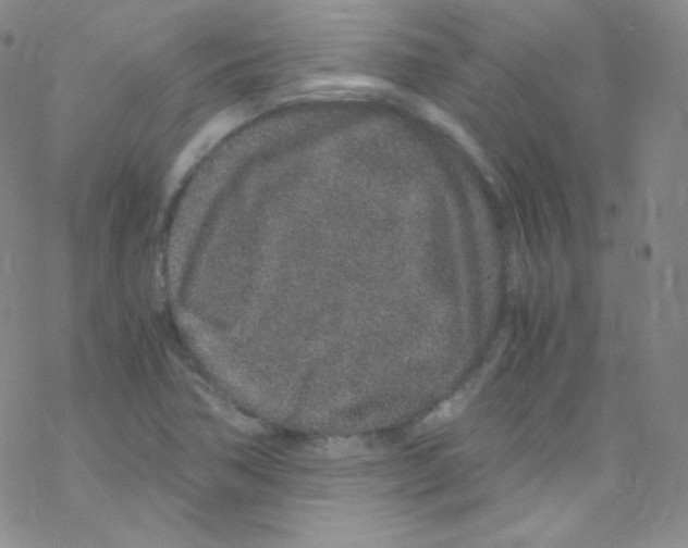 X0000076351362200610272109