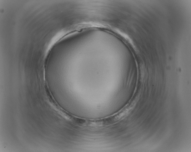 X0000076351365200610272109