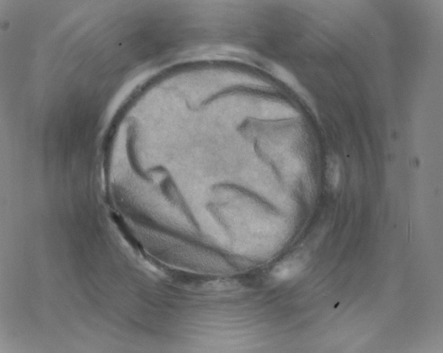 X0000076351368200610272109