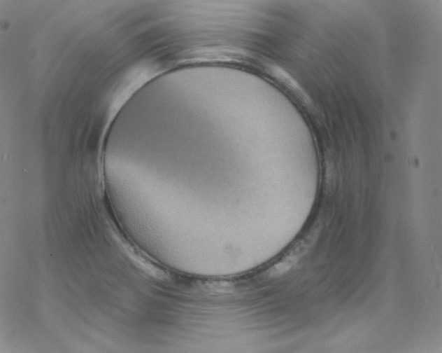 X0000076351370200610272109