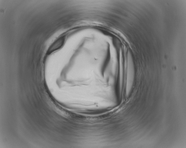 X0000076351371200610272109