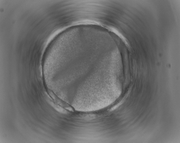 X0000076351372200610272109