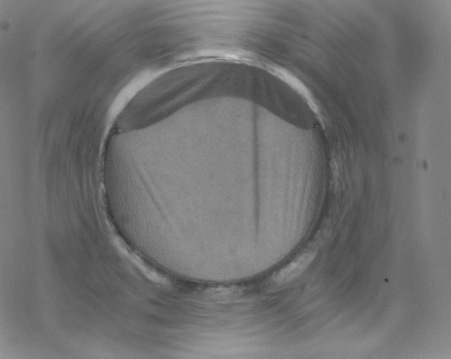 X0000076351373200610272109