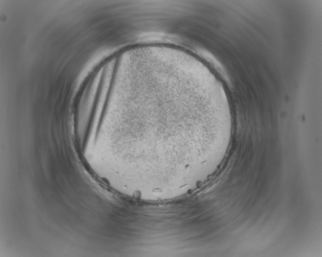 X0000076351376200610272109