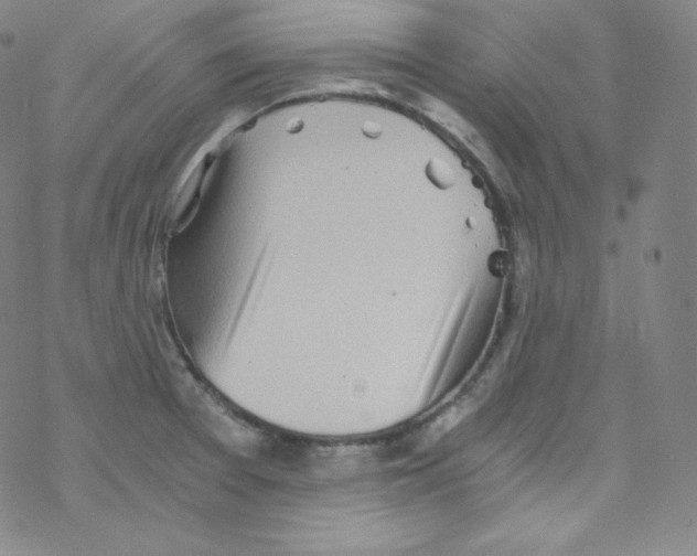 X0000076351377200610272109