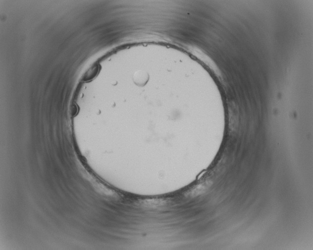 X0000076351380200610272109