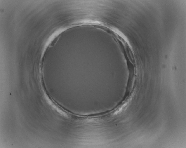 X0000076351381200610272109