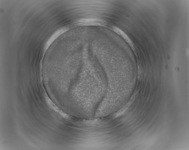 X0000076351386200610272109