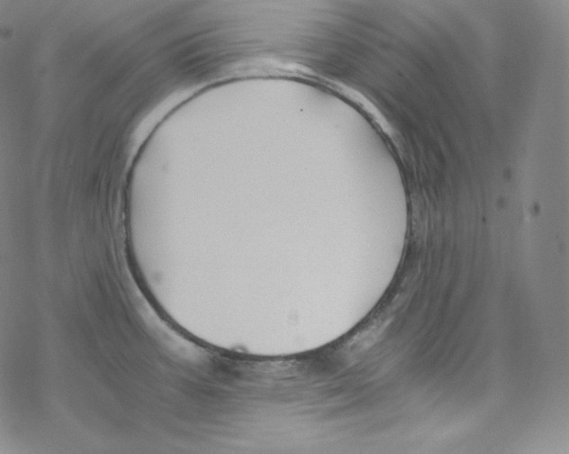 X0000076351387200610272109