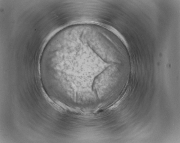 X0000076351388200610272109