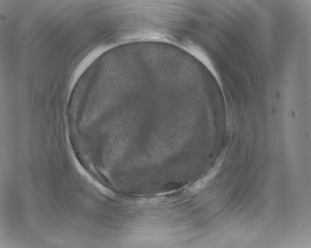 X0000076351389200610272109