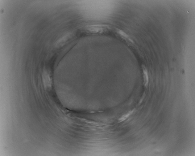 X0000076351394200610272108