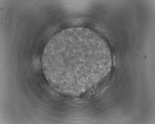 X0000076351395200610272108