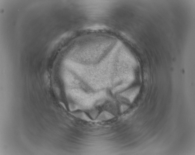 X0000076351398200610272108