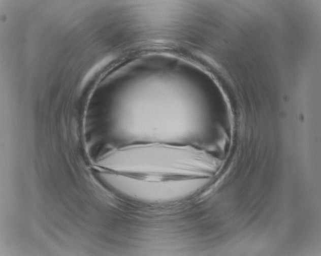 X0000076351402200610272108