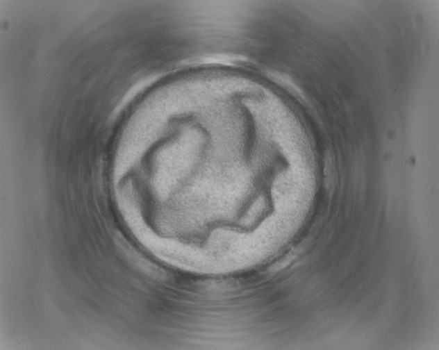 X0000076351404200610272108