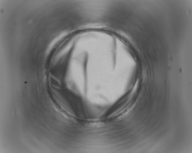 X0000076351406200610272108