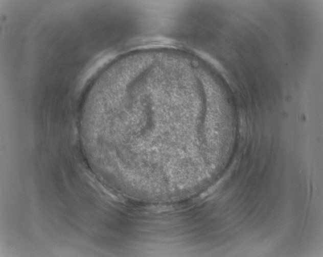 X0000076351407200610272108