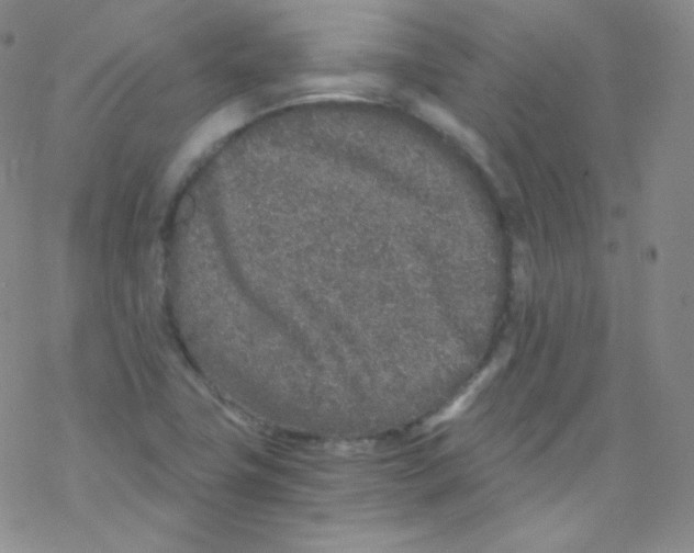 X0000076351411200610272108