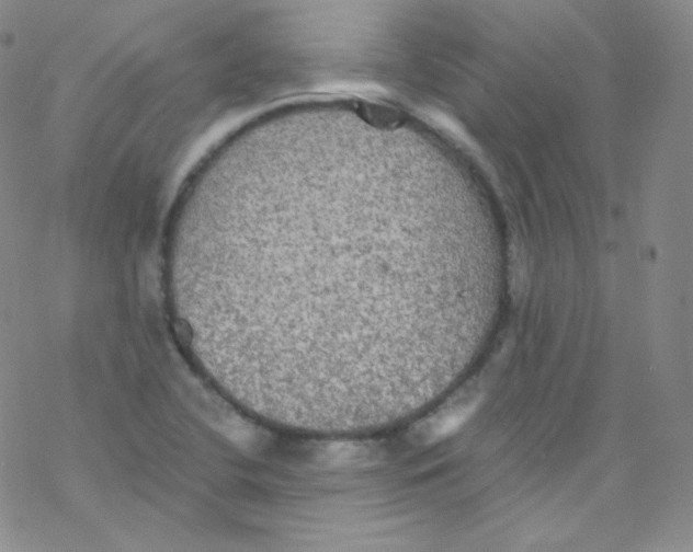 X0000076351412200610272108