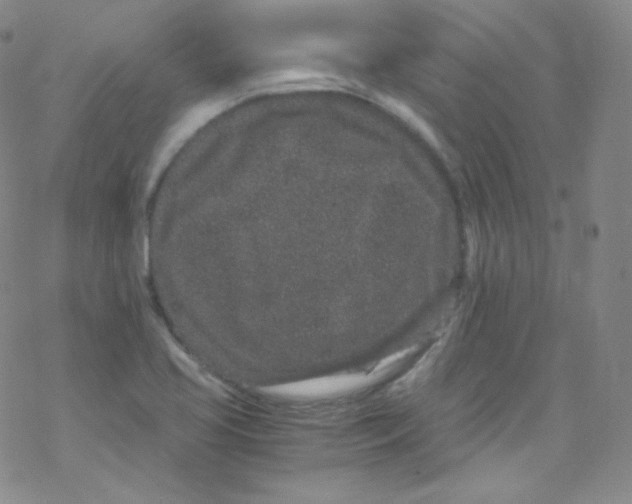 X0000076351413200610272108