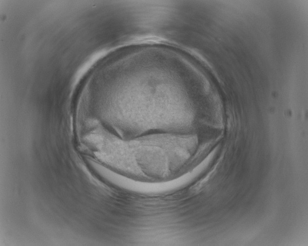 X0000076351414200610272108